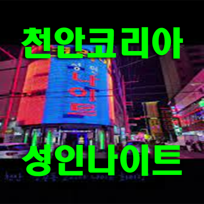 천안코리아나이트